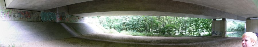 -  Projection: Cylindrical (1)  FOV: 170 x 45  Ev: 7.84