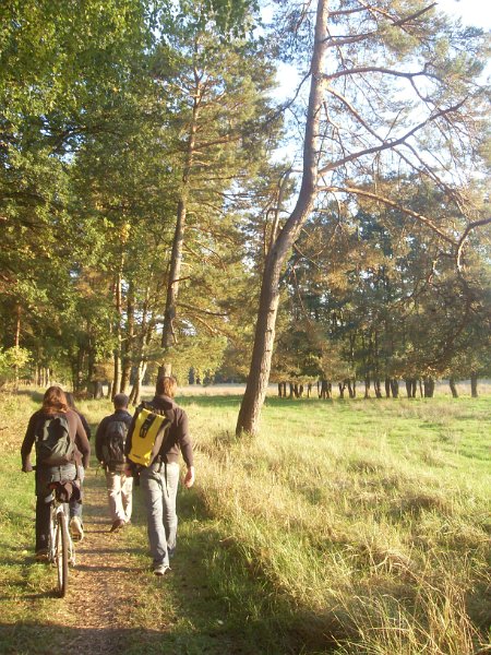 VLUU L110, M110  / Samsung L110, M110